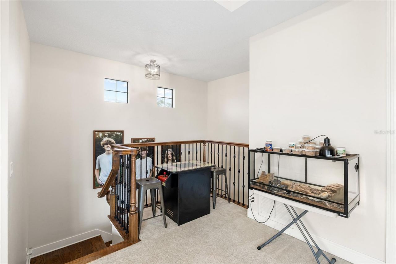 16406 Chapman Crossing Drive, Lithia, FL 33547 Photo