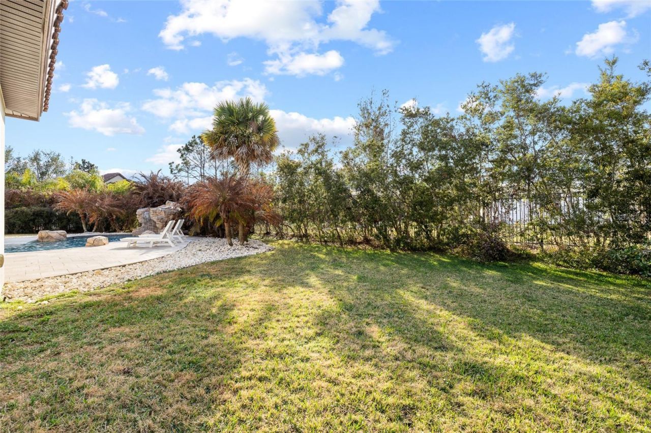 16406 Chapman Crossing Drive, Lithia, FL 33547 Photo