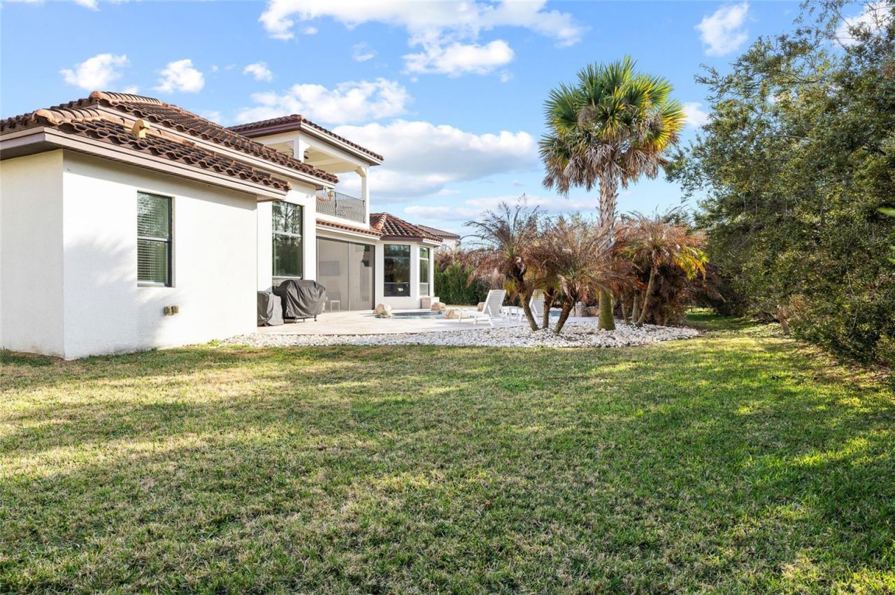 16406 Chapman Crossing Drive, Lithia, FL 33547 Photo