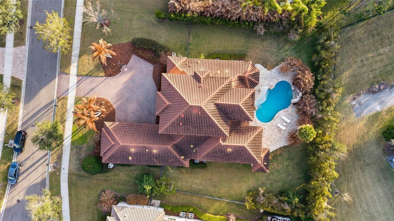 16406 Chapman Crossing Drive, Lithia, FL 33547 Photo