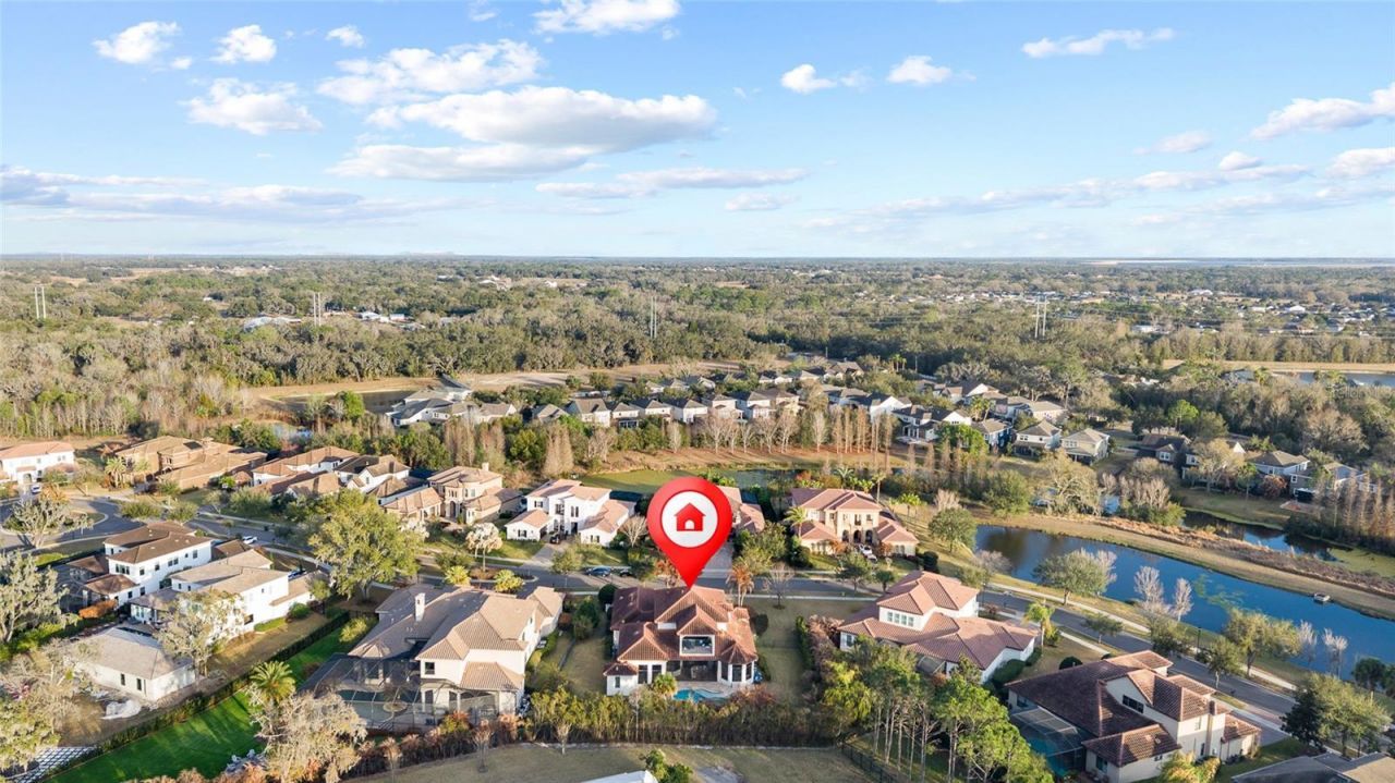16406 Chapman Crossing Drive, Lithia, FL 33547 Photo