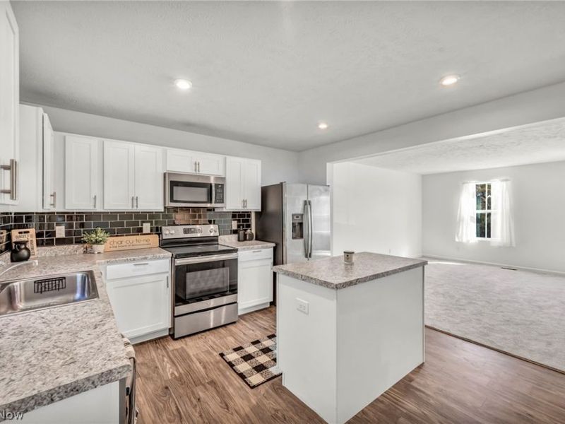 698 Pine Spring Drive, Painesville Township, OH 44077 Photo 10