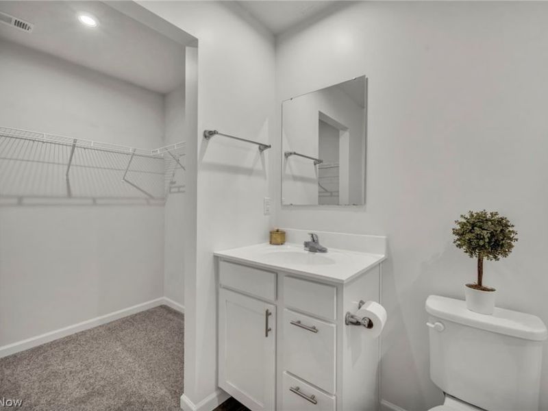 698 Pine Spring Drive, Painesville Township, OH 44077 Photo 24