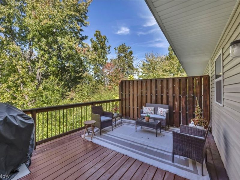 698 Pine Spring Drive, Painesville Township, OH 44077 Photo 40