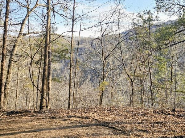 137 Abe Court, Ranger, GA 30734