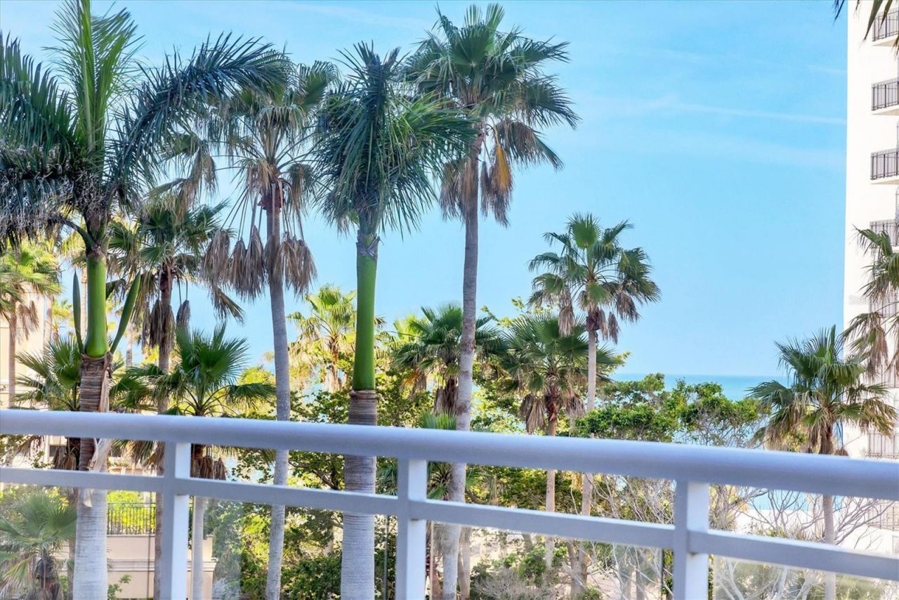 1300 Benjamin Franklin Drive, Unit 304, Sarasota, FL 34236 Photo