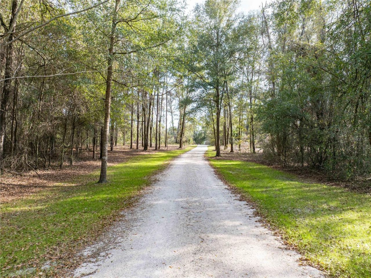 9972 SW County Road 240, Lake City, FL 32024 Photo