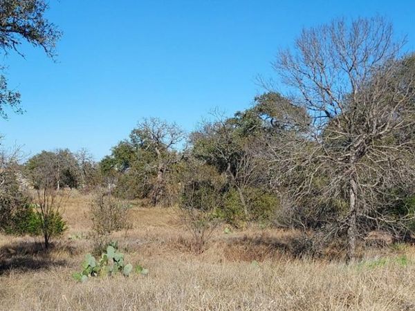Lot 50 Pristine PASS, Buchanan Dam, TX 78609