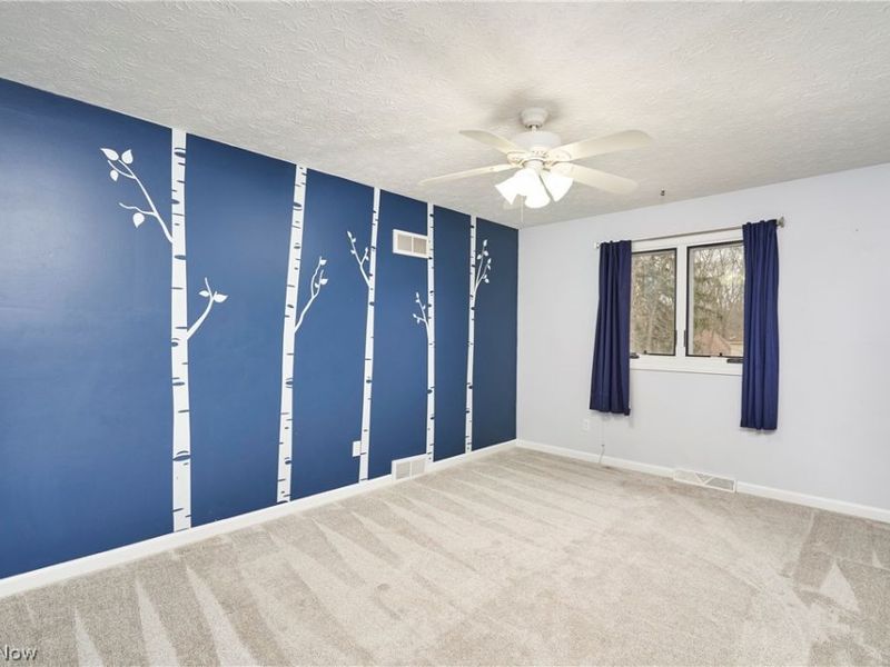 4110 Big Spruce Drive, Akron, OH 44333 Photo 22