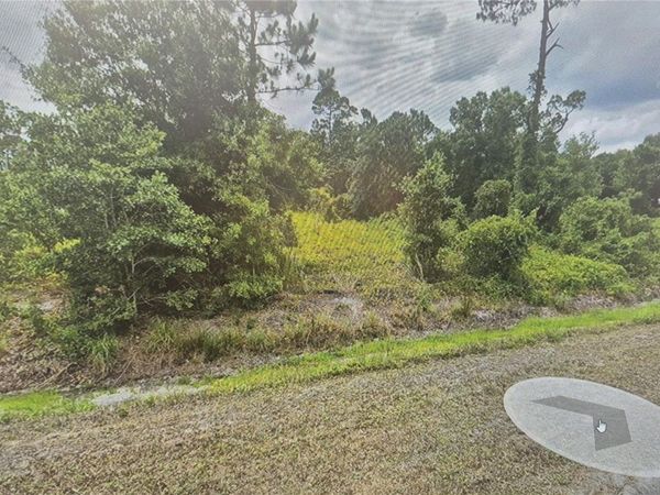 1450 S OLSEN ROAD, AVON PARK, FL 33825