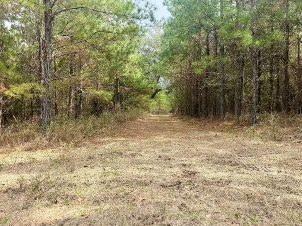 TBD NE DUVAL POND RD, Madison, FL 32340