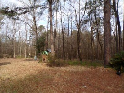 301 Frys Way Photo 5