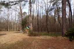 301 Frys Way photo 4