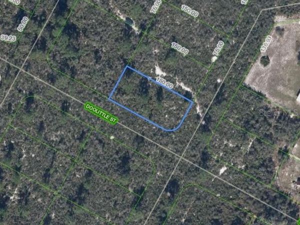 LAKE PLACID, FL 33852