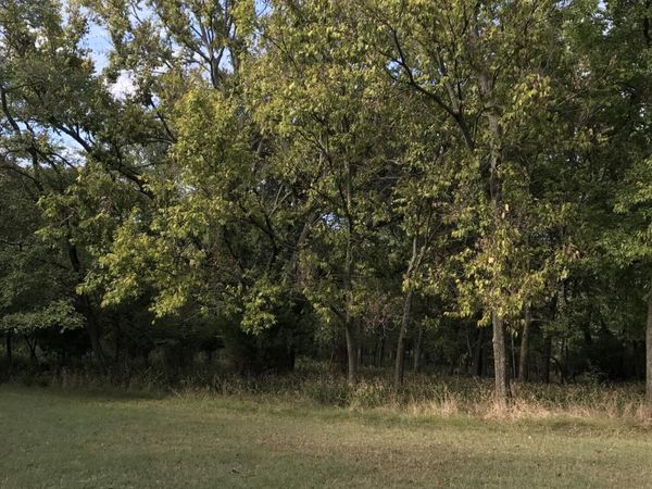 Mockingbird, Afton, OK 74331