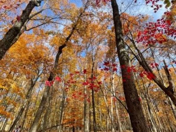 924 Middleville Rd, Stillwater, NJ 07860