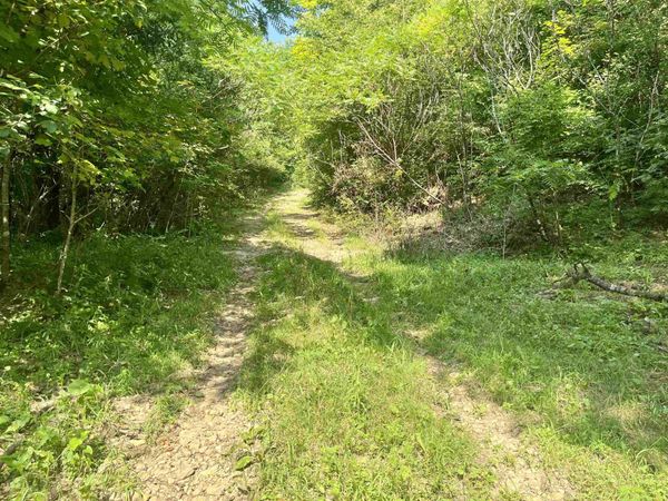 79 Acres, Byers Rd, Boscobel, WI 53805