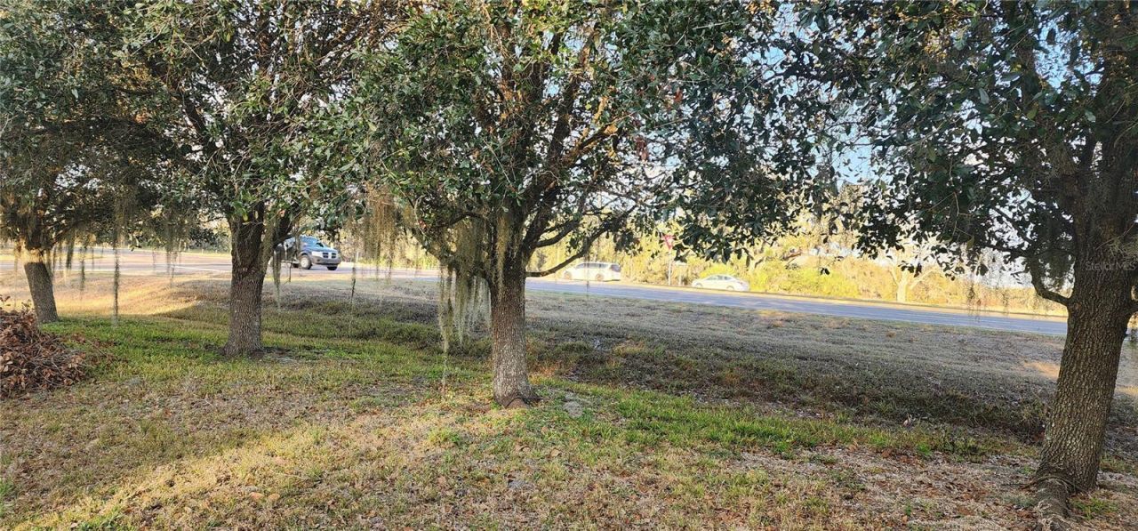 107 College Lane, Zolfo Springs, FL 33890 Photo