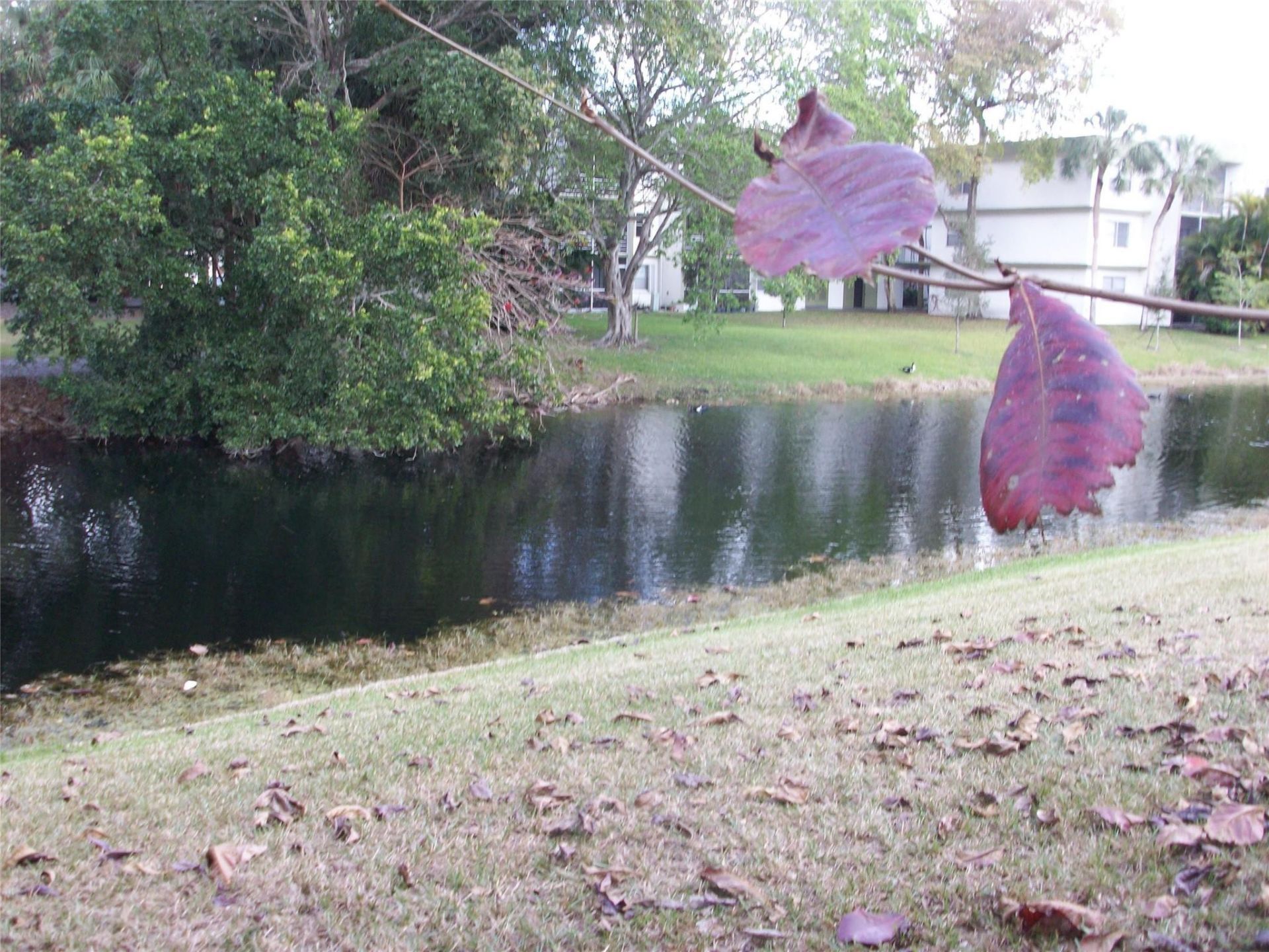 7845 NW 41st Court, Unit 7845, Sunrise, FL 33351 Photo