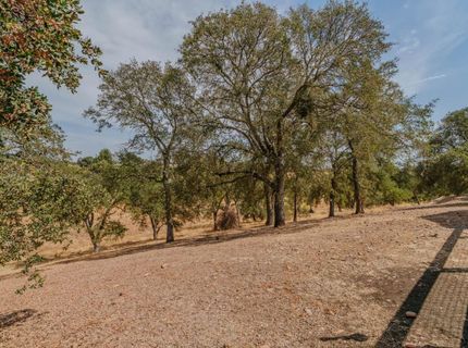 31 Willet Ct, Wallace, CA 95254 Photo