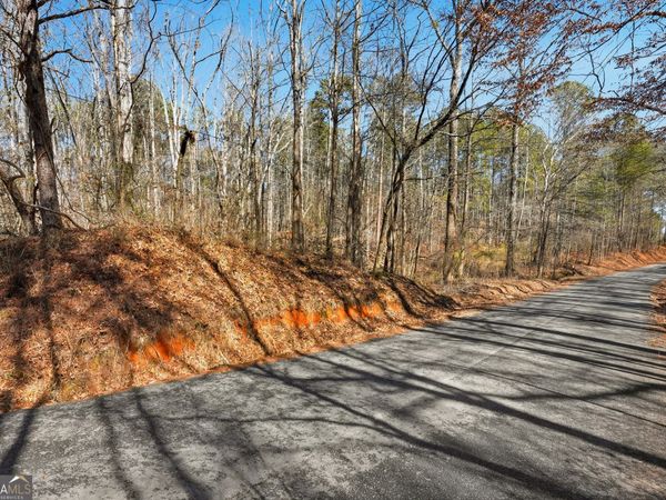 0 Pickett Bridge Road, Covington, GA 30016