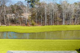 135 Mims Academy Drive photo 4