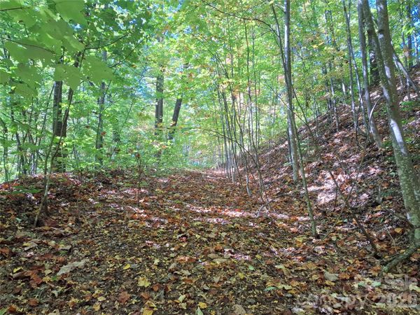 965 Wolf Pen Road, Old Fort, NC 28762