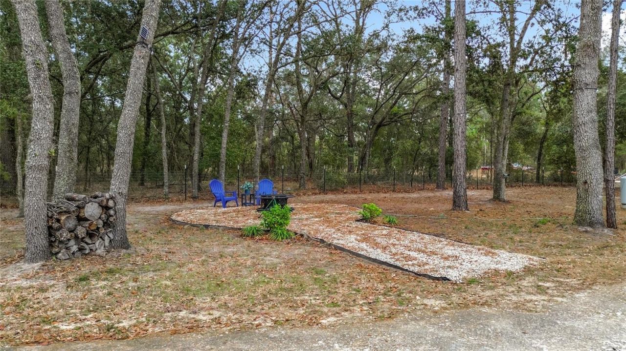 12051 NE 14th Street, Williston, FL 32696 Photo