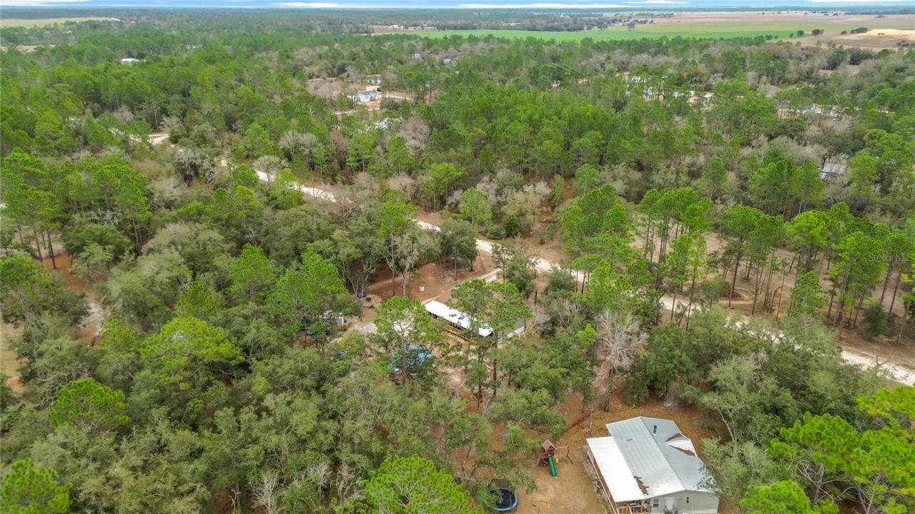 12051 NE 14th Street, Williston, FL 32696 Photo