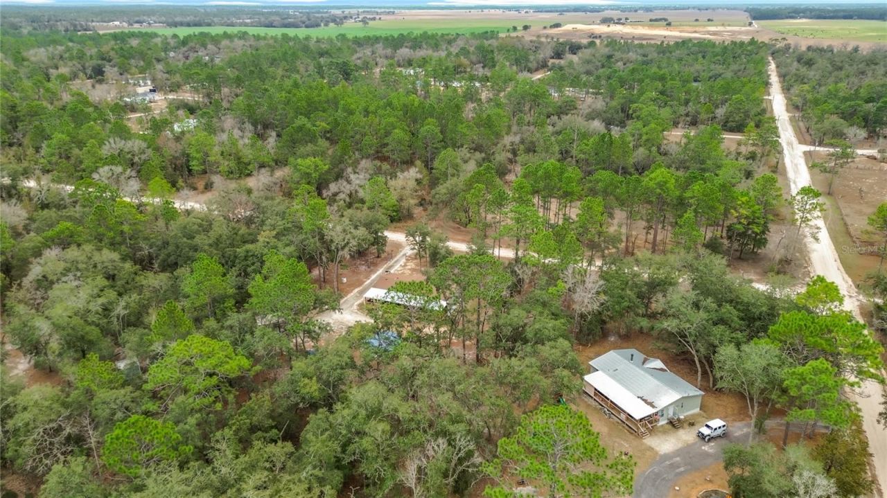 12051 NE 14th Street, Williston, FL 32696 Photo