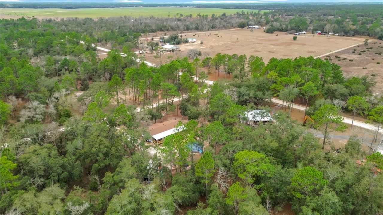 12051 NE 14th Street, Williston, FL 32696 Photo