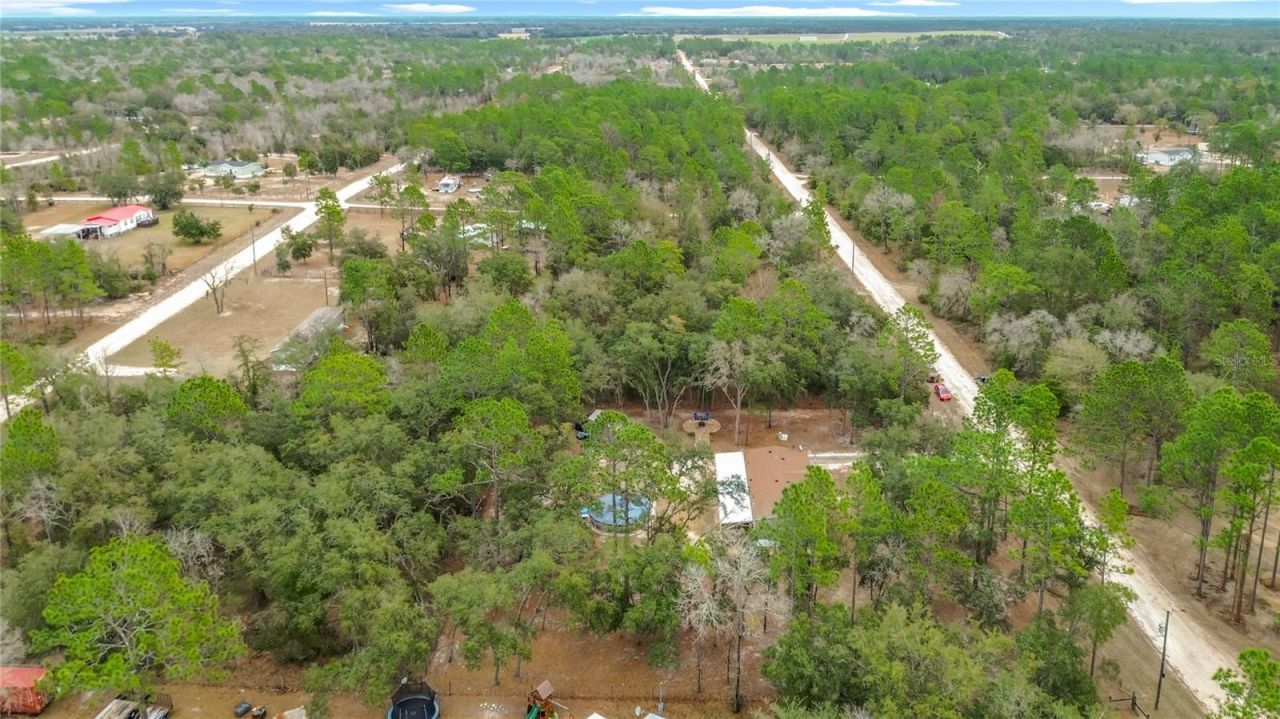 12051 NE 14th Street, Williston, FL 32696 Photo