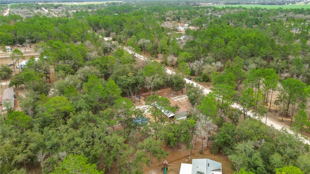 12051 NE 14th Street, Williston, FL 32696 Photo