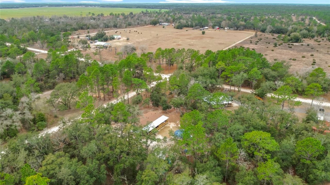 12051 NE 14th Street, Williston, FL 32696 Photo