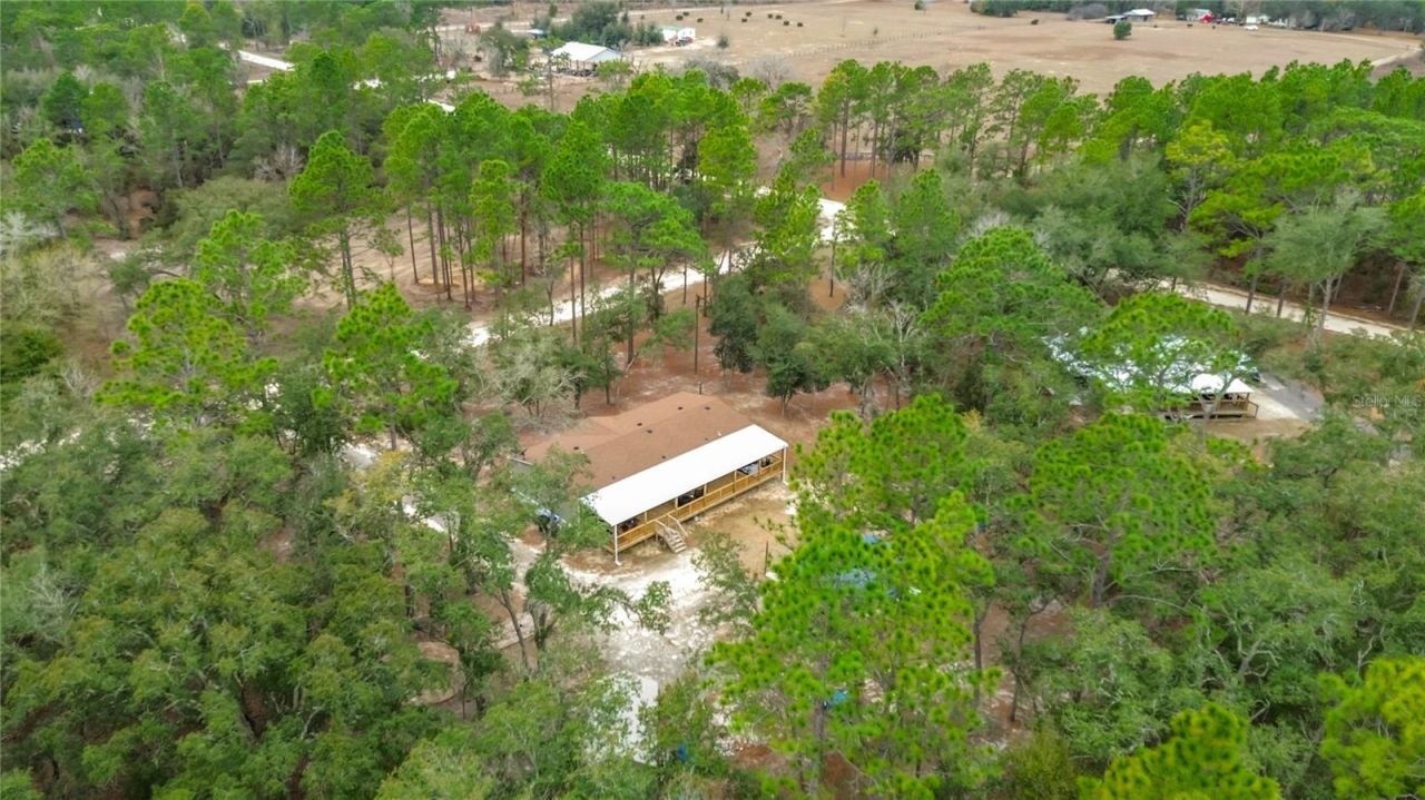 12051 NE 14th Street, Williston, FL 32696 Photo