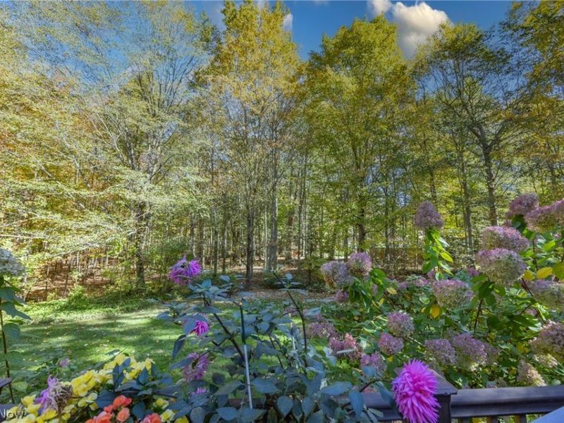 6766 Wilson Mills Road, Mayfield Village, OH 44040 Photo 3