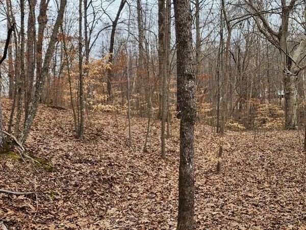 000 Saddletree Rd, Camden, TN 38320