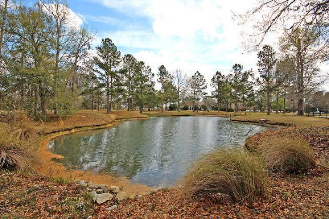 147 Dasharon Lane Photo 50