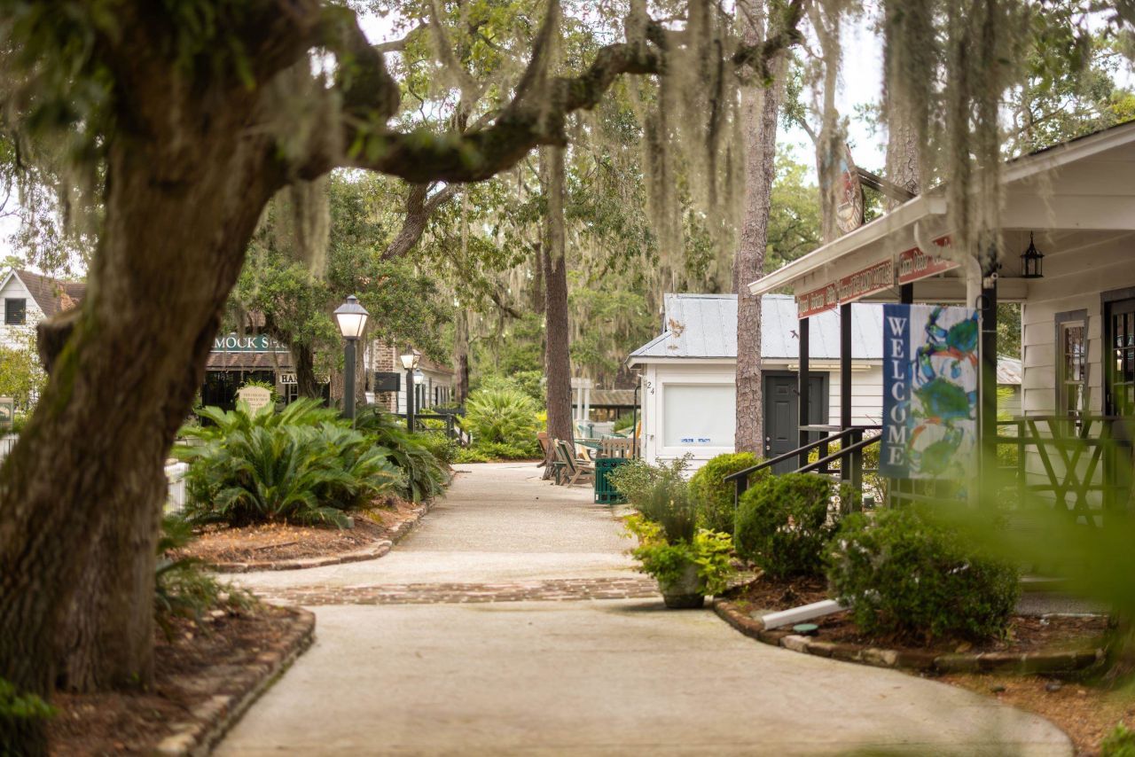 83 Condor Ct Photo 3