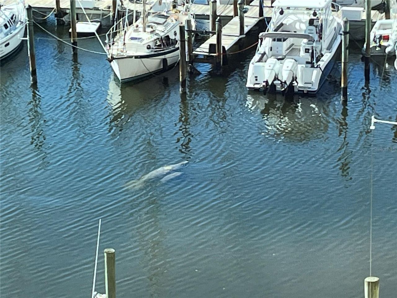 237 Islamorada Boulevard, Punta Gorda, FL 33955 Photo