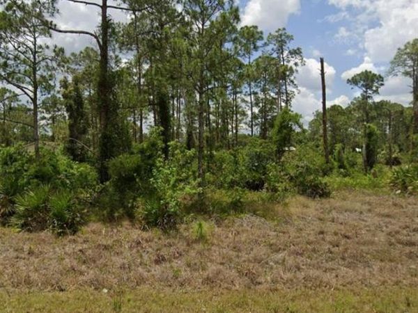 2315 McArthur AVE , ALVA, FL 33920