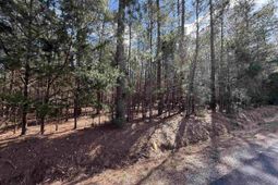 00 Ruby Riser Road photo 4