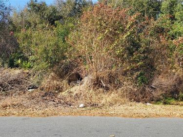 362 COLONADE COURT, KISSIMMEE, FL 34758