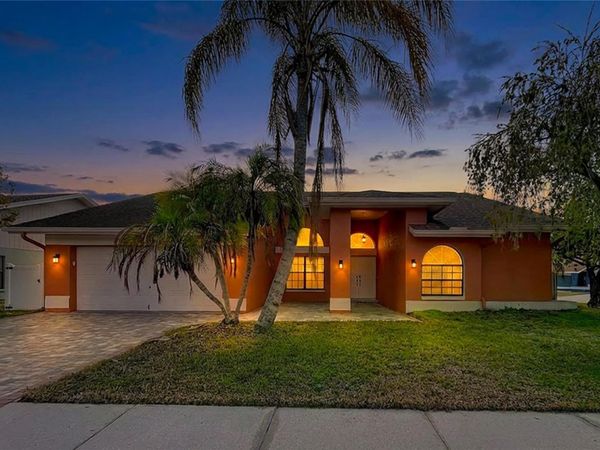 8601 CHADWICK DRIVE, TAMPA, FL 33635