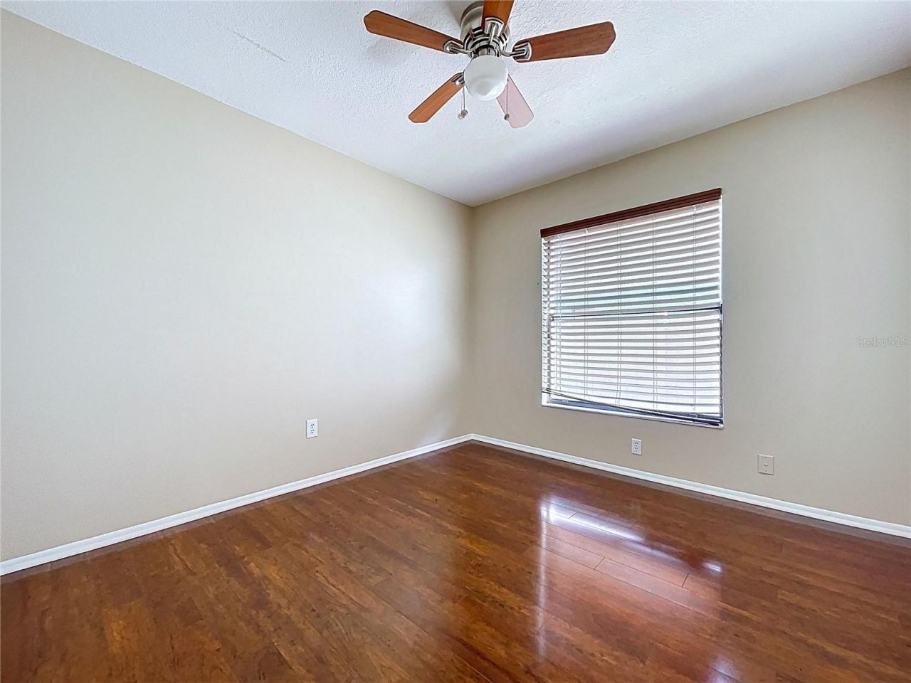 8601 Chadwick Drive, Tampa, FL 33635 Photo