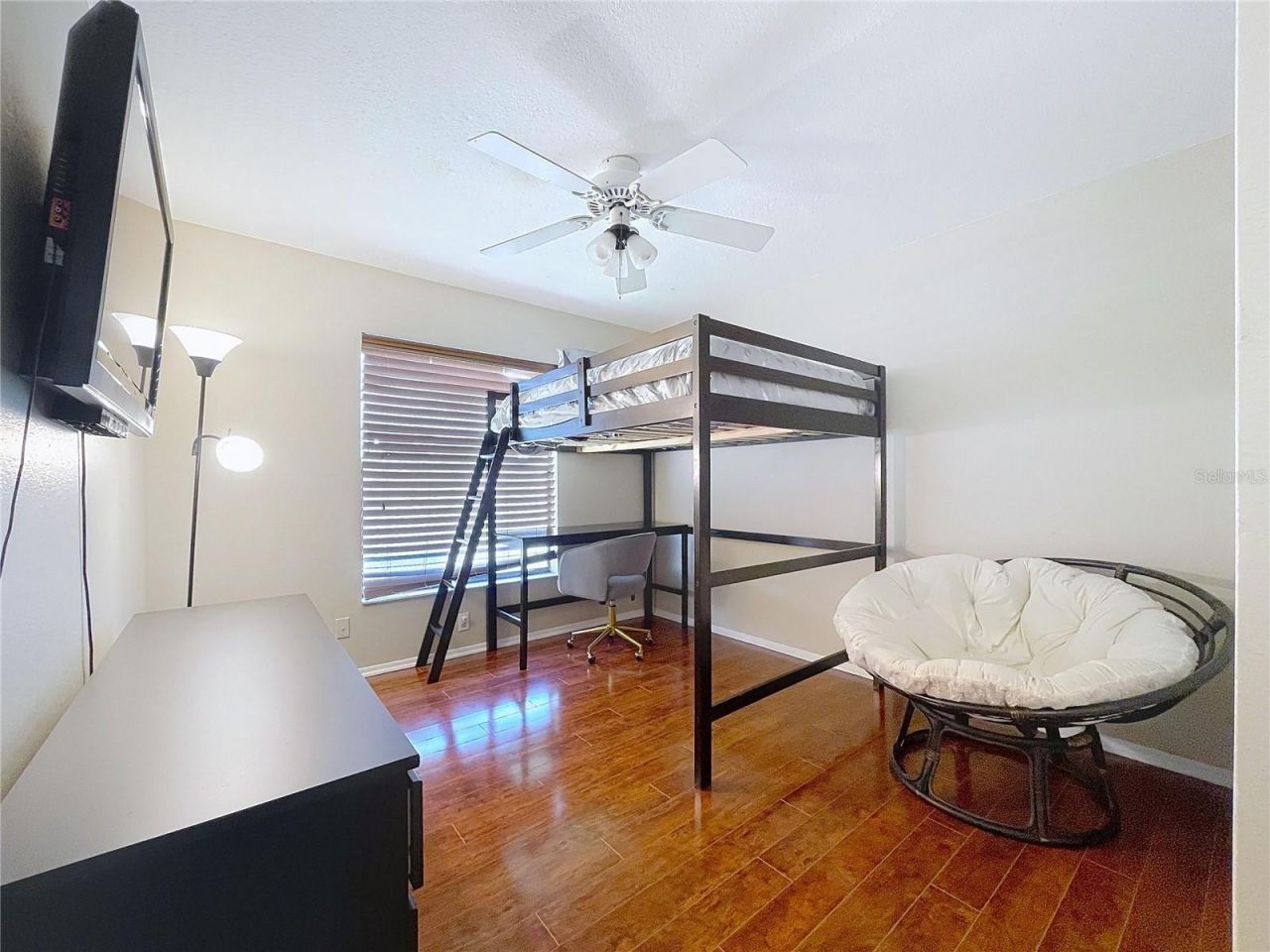 8601 Chadwick Drive, Tampa, FL 33635 Photo