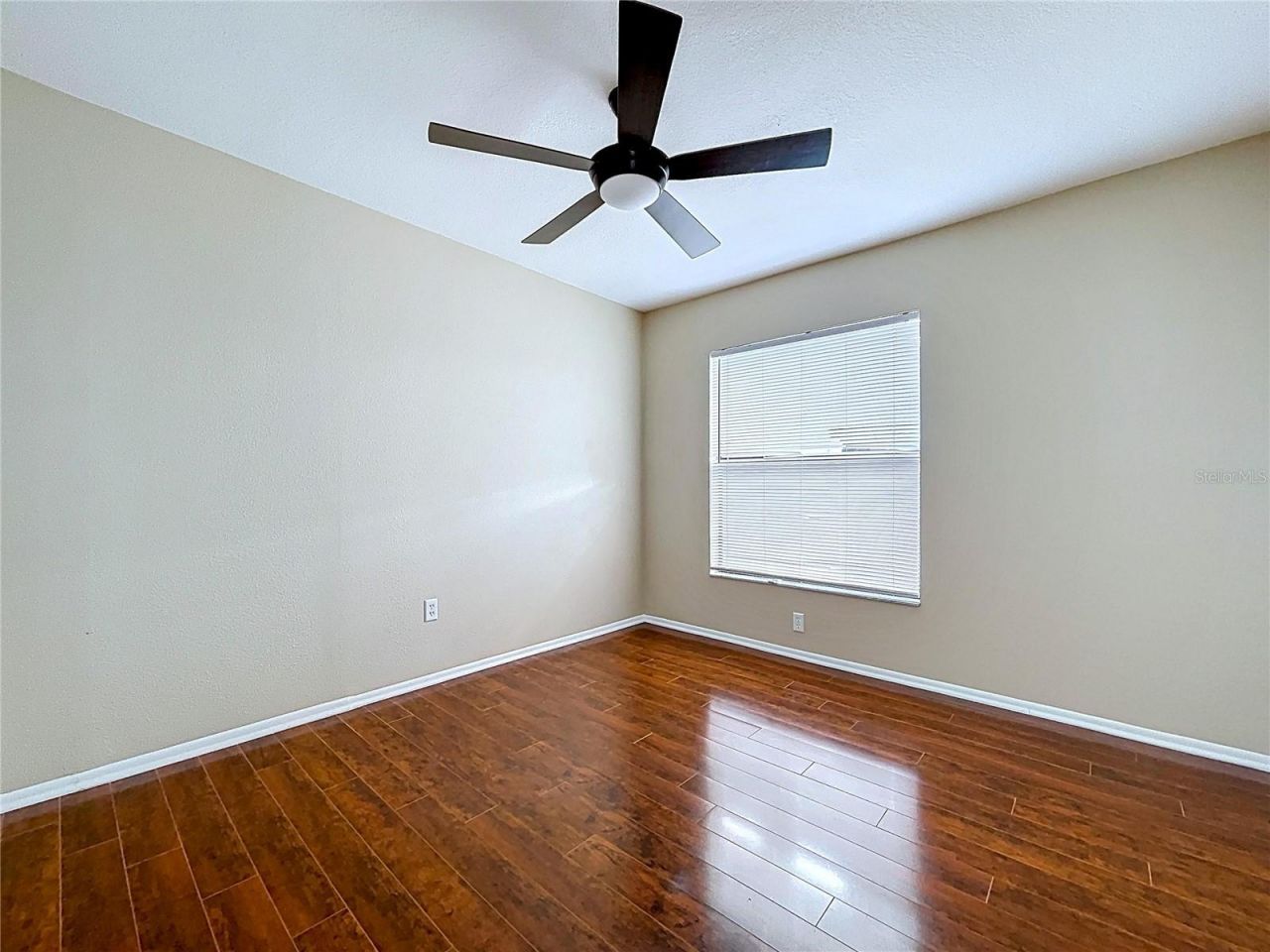 8601 Chadwick Drive, Tampa, FL 33635 Photo