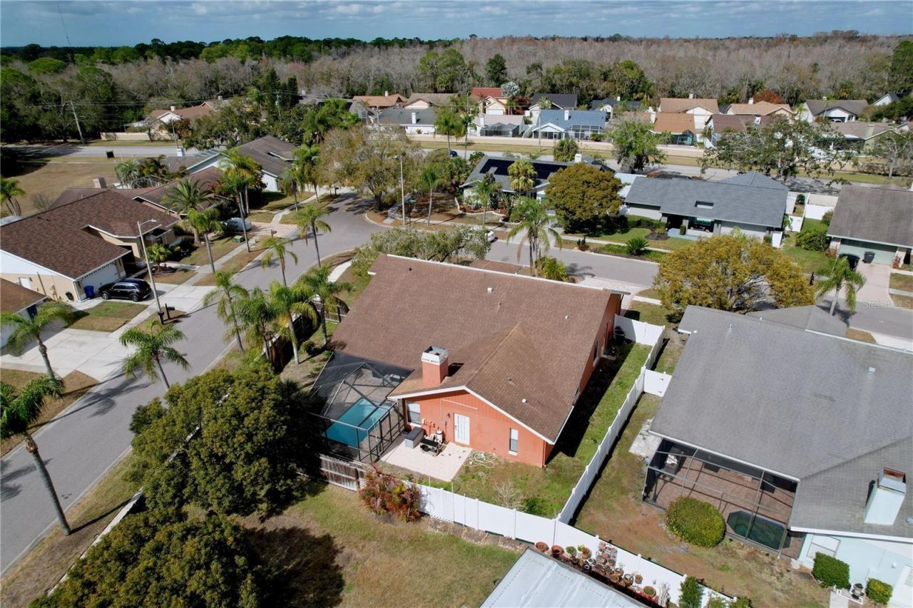 8601 Chadwick Drive, Tampa, FL 33635 Photo