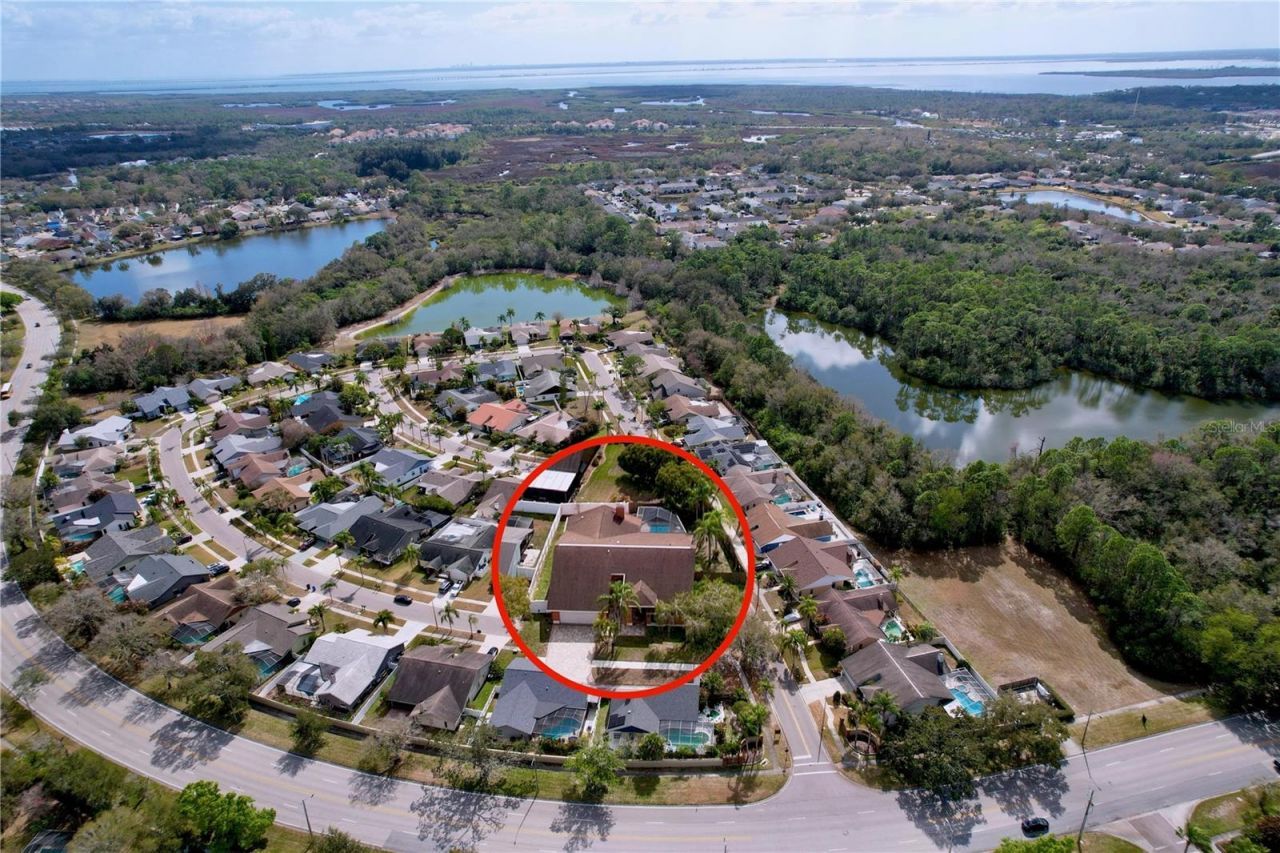 8601 Chadwick Drive, Tampa, FL 33635 Photo