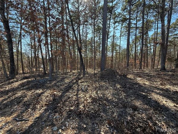 10066 Fish Hook Road, Potosi, MO 63664